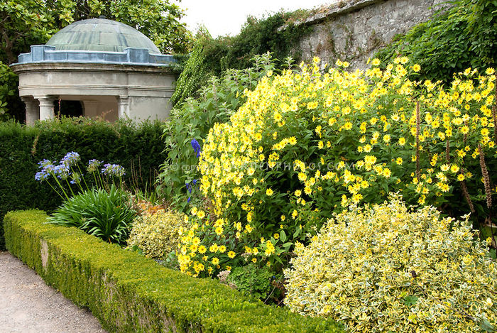 Ireland-J-017576 Ireland-J-017576