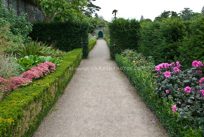 Ireland-JWW-017548 Ireland-JWW-017548