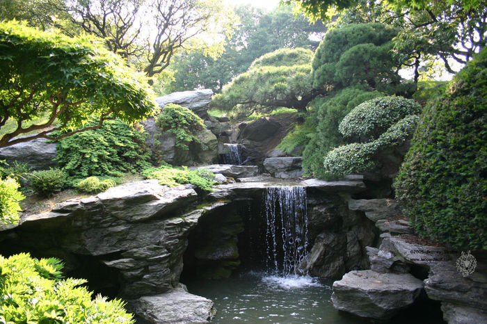 japanese-garden-wallpaper-japanese-garden-wallpaper-5-japanese-garden-1536x1024 japanese-garden-wallpaper-japanese-garden-wallpaper-5-japanese-garden-1536x1024
