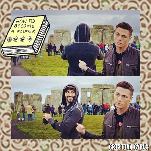 ♡ cσνєη ♡ hai că îți dau eu colivă *se omoară și îi dă colivă* pop. #tyler