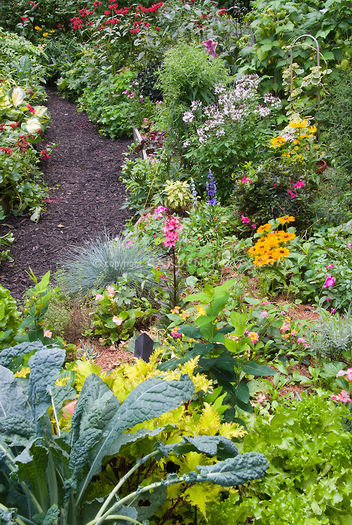 Lush-Mixed-Garden-J040516 Lush-Mixed-Garden-J040516