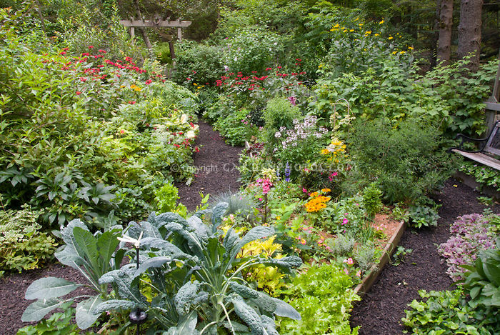 Lush-Mixed-Garden-J040522 Lush-Mixed-Garden-J040522