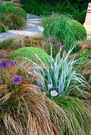 Ornamental-Grass-Garden-JAW6432 Ornamental-Grass-Garden-JAW6432