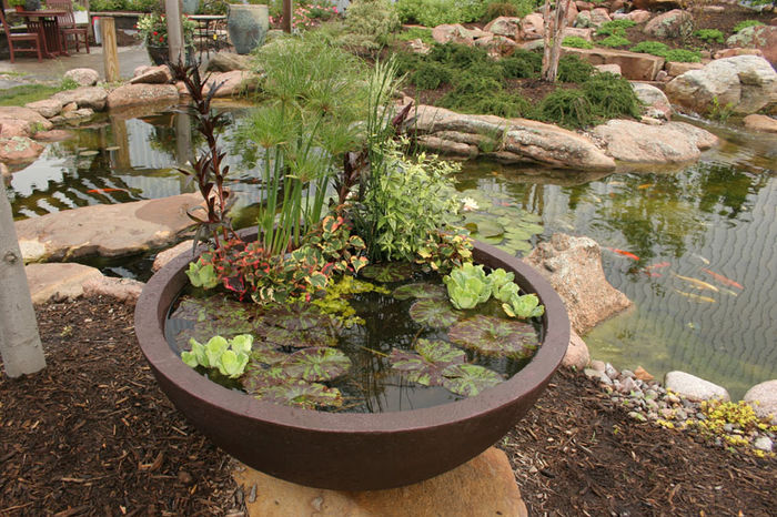 Patio Pond