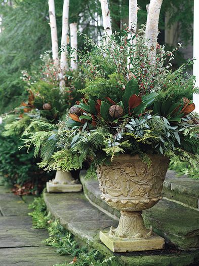 spring-refined-container-gardening-gardens-canadian-gardening-550x733-delightful-Garden-Ideas-Attrac spring-refined-container-gardening-gardens-canadian-gardening-550x733-delightful-Garden-Ideas-Attrac