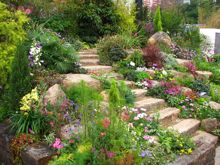 the-beauty-of-rock-garden-design-for-backyard-garden-ideas-home-3264x2448 the-beauty-of-rock-garden-design-for-backyard-garden-ideas-home-3264x2448