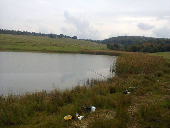 balta de la Capalnas , jud Arad .