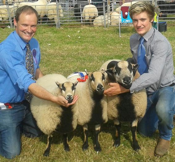 La concurs cu rase de oi