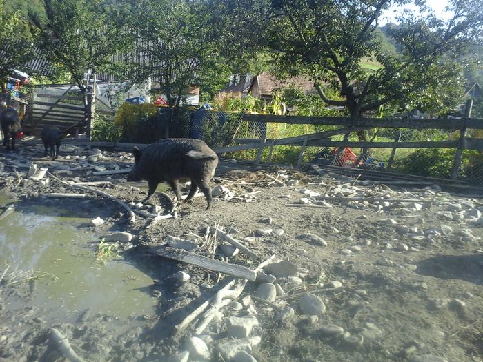 20140928_162146 - MISTRETII