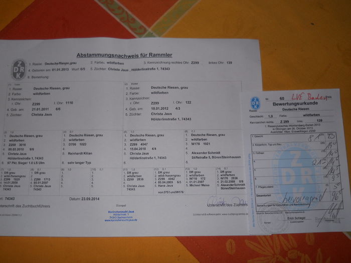 Z299 139(M1) - MATCA 2015