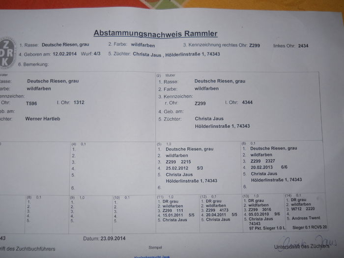 Z 299 2434(M4); linie WERNER HARTLEB!!
strabunica SIEGER RCVS 20
