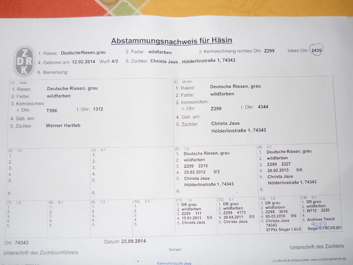 Z299 3452(F1); linie Fisher   KOLLER!!

