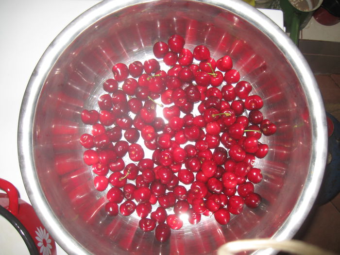 IMG_1739 - 13 Vara 2014