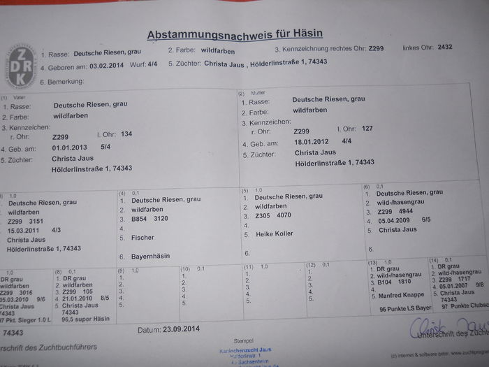 Z 299 2432(F2); linie FISHER Koller
