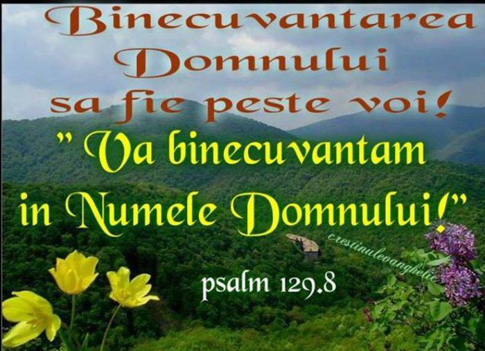 999968_443085639169973_2003222833_n