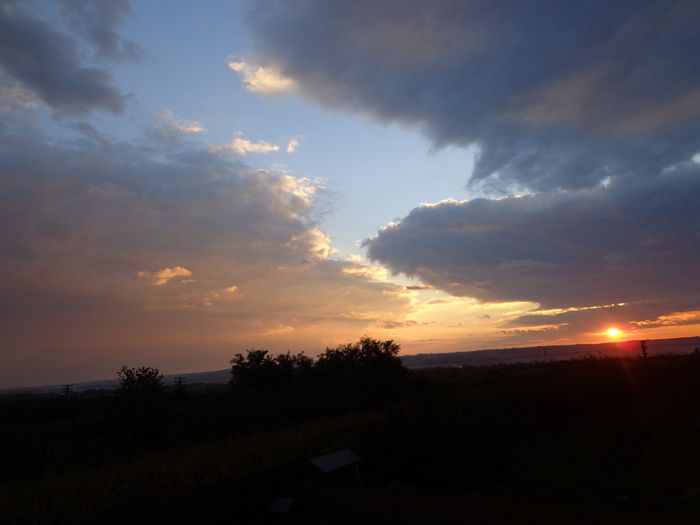 DSC04281