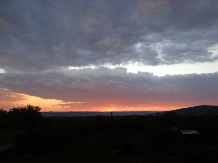 DSC04290