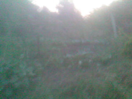 SP_A0578 - produse din livada mea