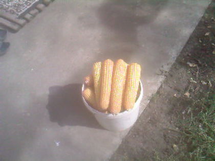 SP_A0630 - produse din livada mea