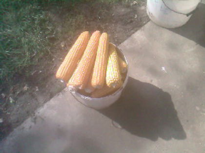 SP_A0631 - produse din livada mea