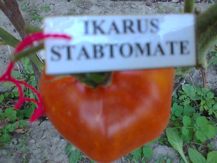 Fotografie3230