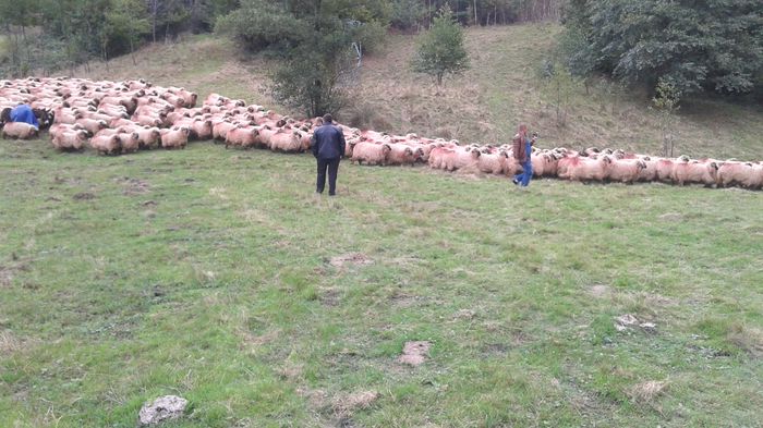 20141005_123243 - Marius cu prietena la Costesti Hunedoara