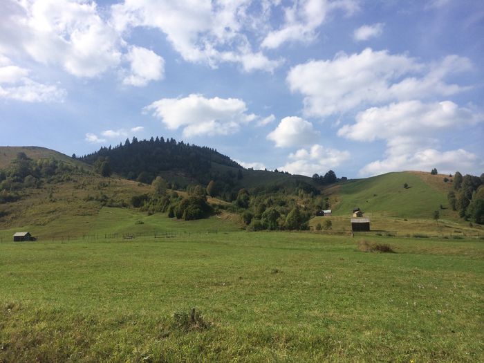 image - Maramures 2014