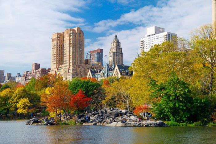 1959474_511189752317824_3858585746278759440_n - Toamna in Central Park New York