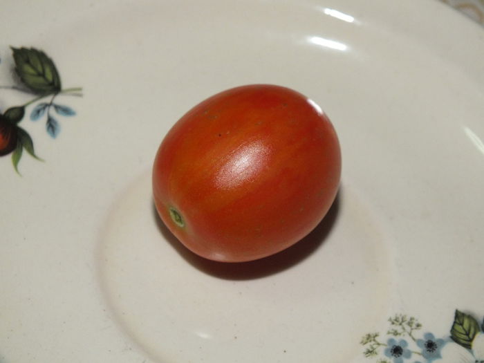 Tigerella coapta; Septembrie 2014.
Tomate cu gust bun, micute, se fac in ciorchini.

