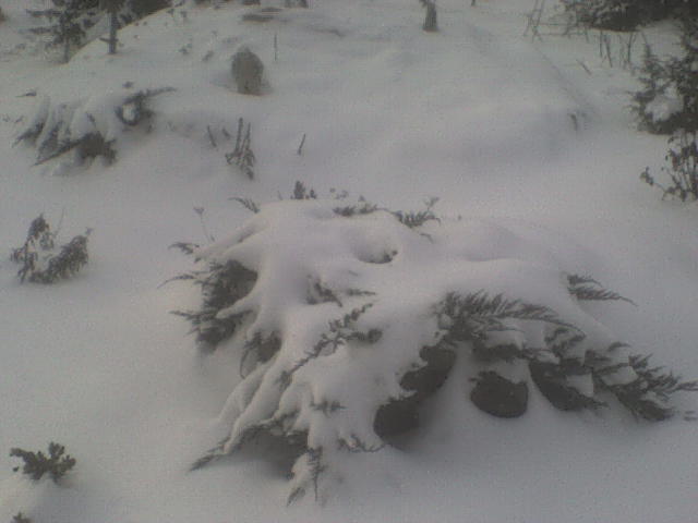 DSC01343 - iarna in sat