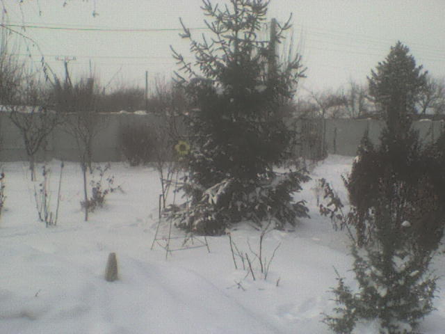 DSC01345 - iarna in sat