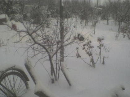 DSC01358 - iarna in sat