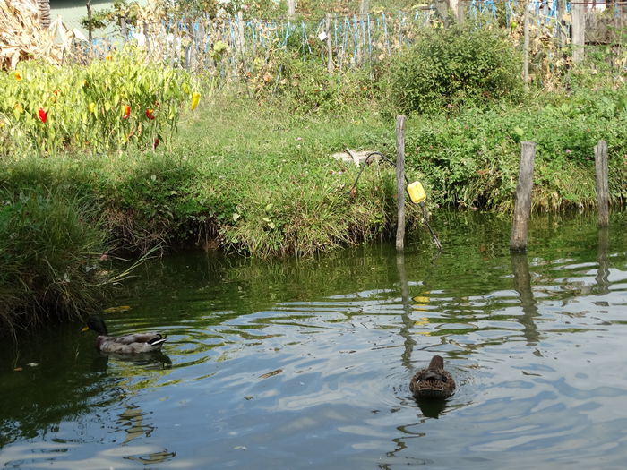 DSC02388