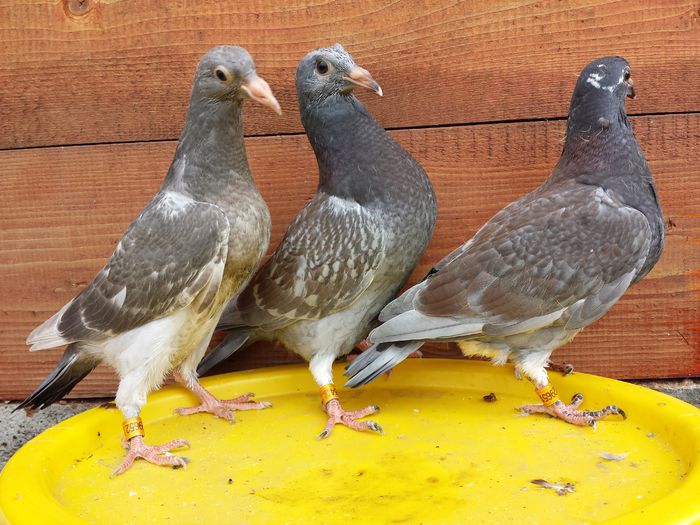 20141004_122700 - E-Amintiri