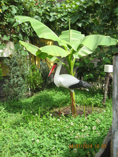 Picture 2301 - Banan