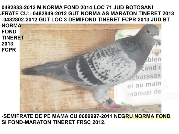 833-2012 NORMA FOND - REZULTATE 2014