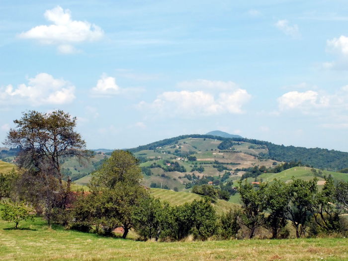 Poiana M. - Poiana Marului_in vizita la Damian