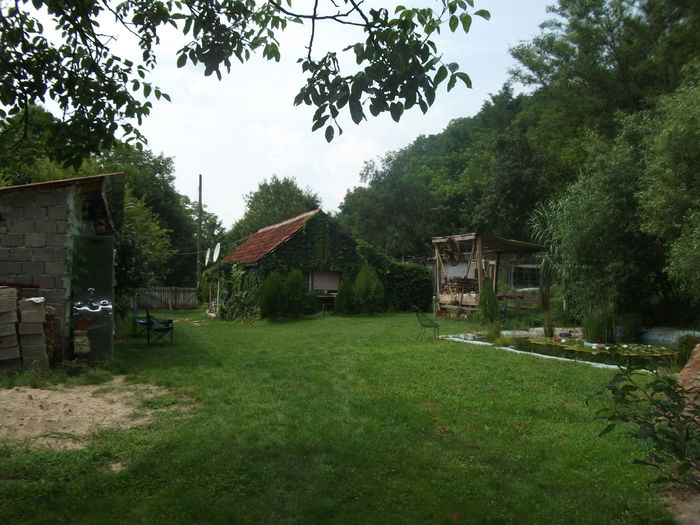 Picture 044 - toamna 2014