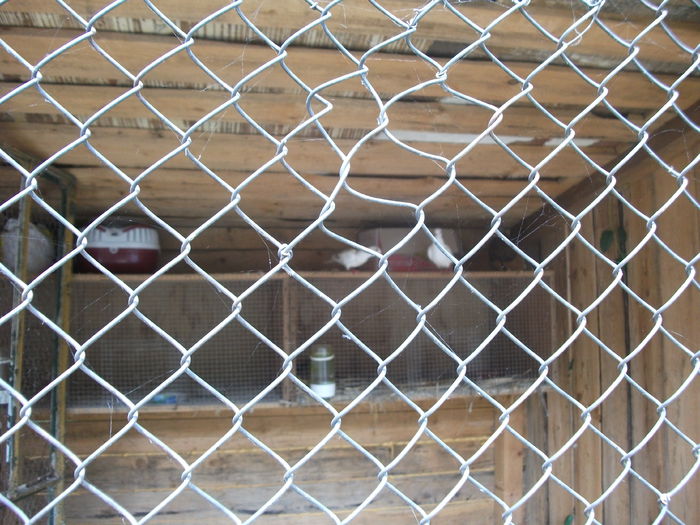 Picture 051 - toamna 2014