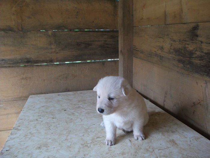 Picture 065 - toamna 2014