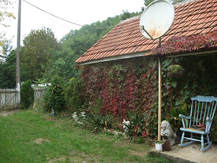 Picture 073 - toamna 2014