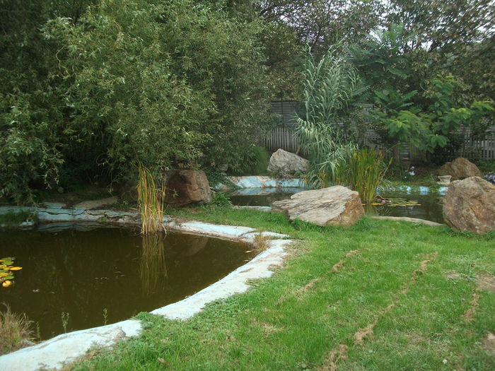 Picture 075 - toamna 2014