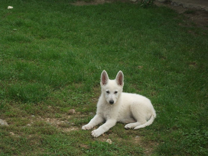 Picture 082 - toamna 2014