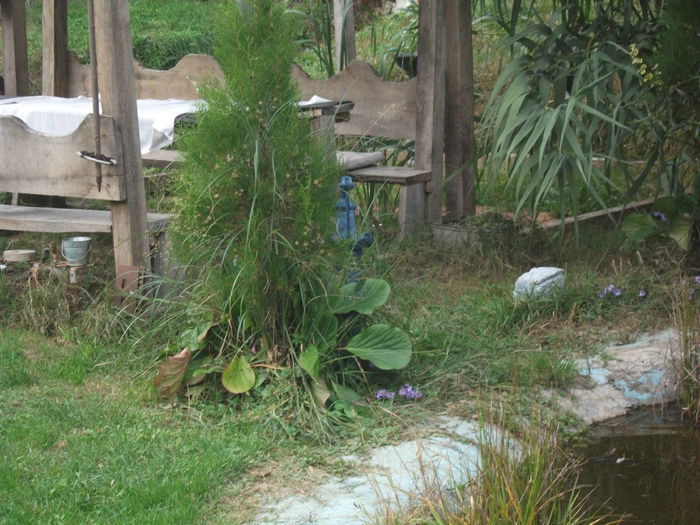 Picture 109 - toamna 2014