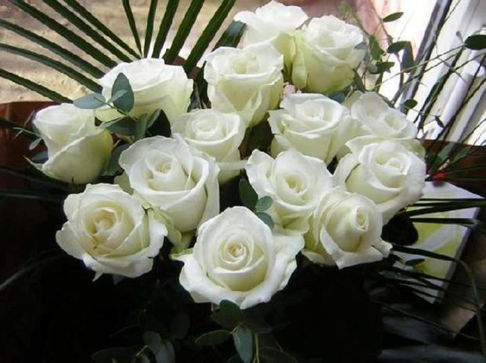 dupa 10 minute Luhan de brat cu sora geamana a Anei