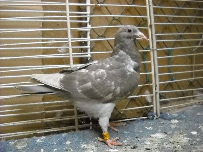 DSCN7587