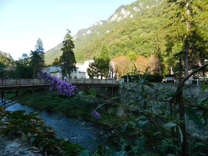 DSCN9921 - HERCULANE_1_SEPTEMBRIE_2014