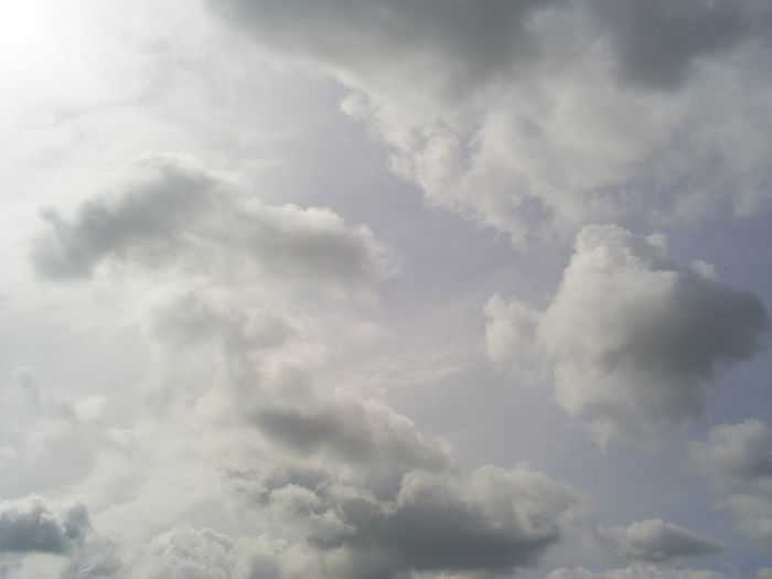 S4023888