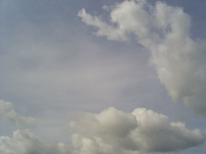 S4023894