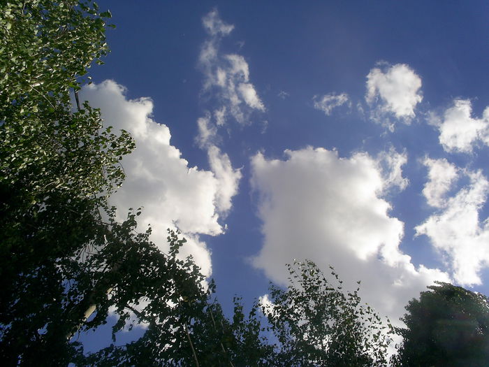 S4027389 - Simfonia norilor 04
